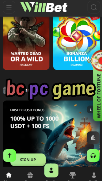 BC PC Game - Computer Gaming Options-vz72fvrf.com