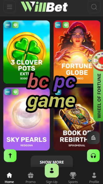 BC PC Game - Computer Gaming Options-vz72fvrf.com